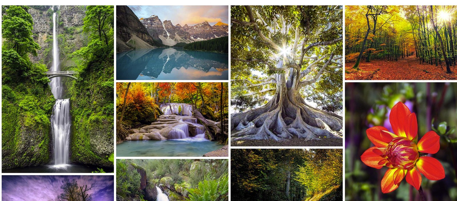 Responsive Photo Gallery